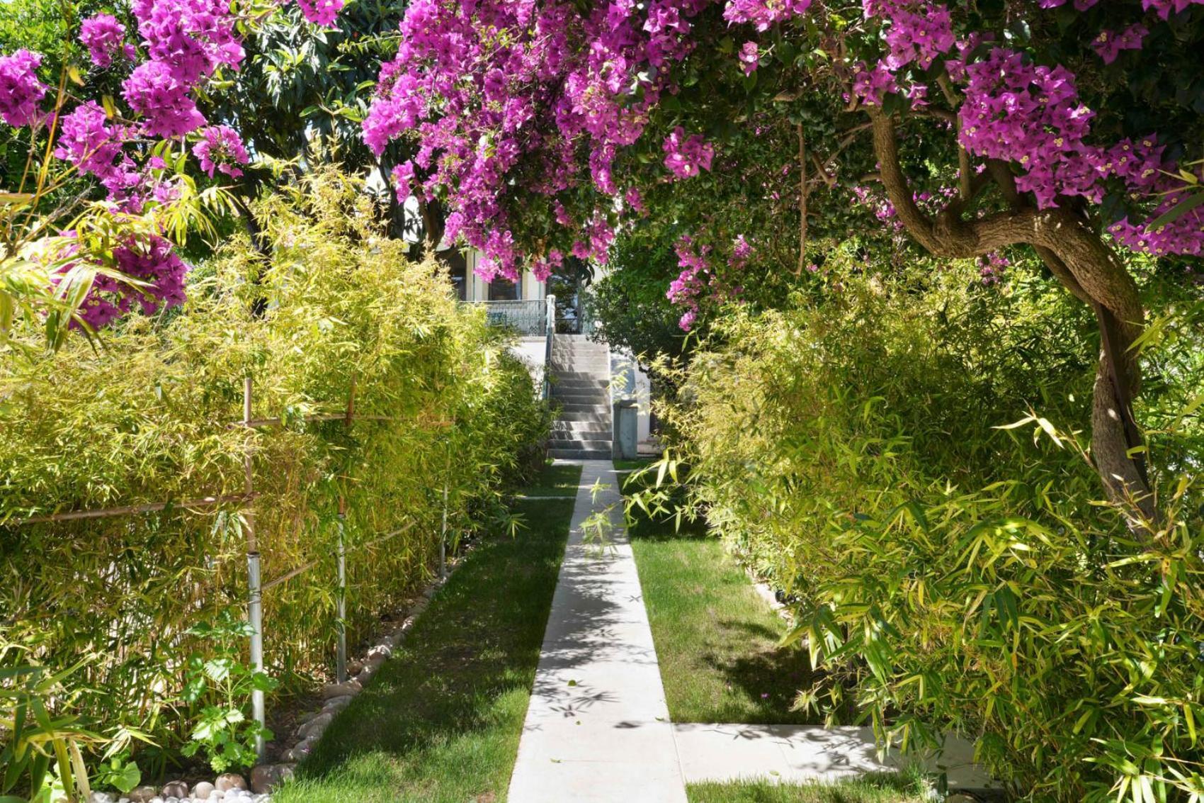 Jardim De Copas Apartment อัลโกเชทเจ ภายนอก รูปภาพ